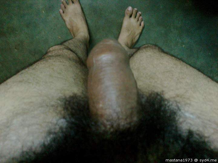 NOW THAT'S A BUSH!!!!!!!! 