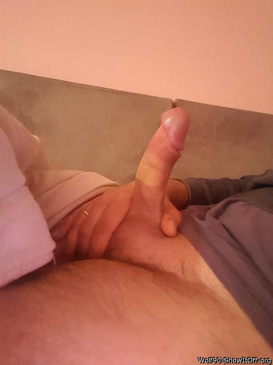 Adult image from Wolf90