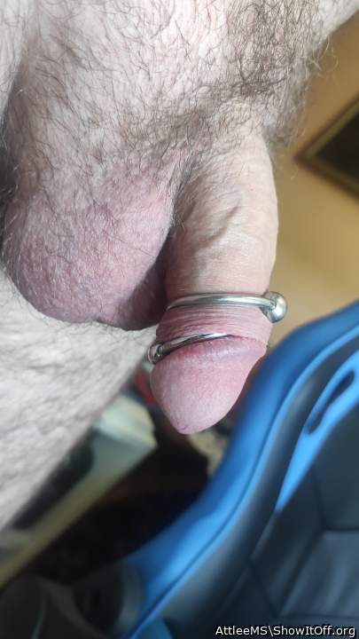 Adult image from AttleeMS