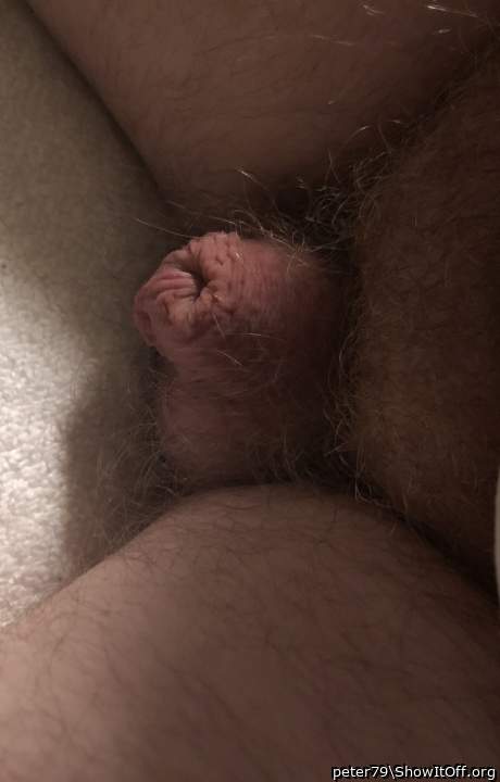 Adult image from peter79
