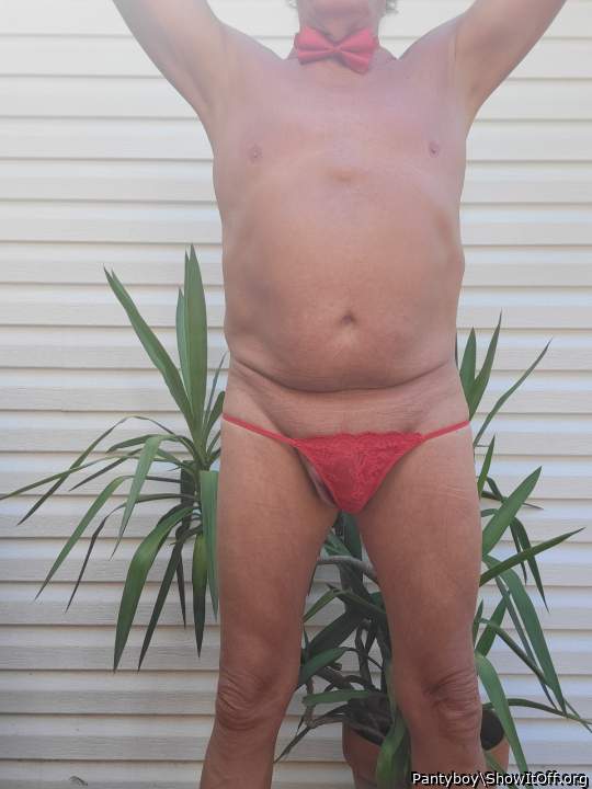 Adult image from Pantyboy