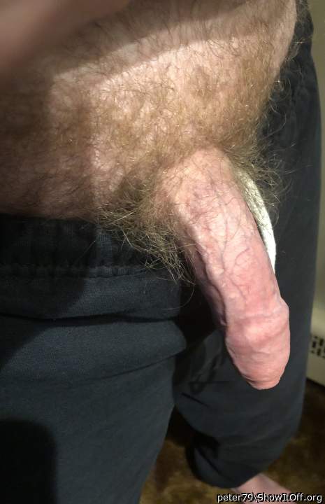 Adult image from peter79