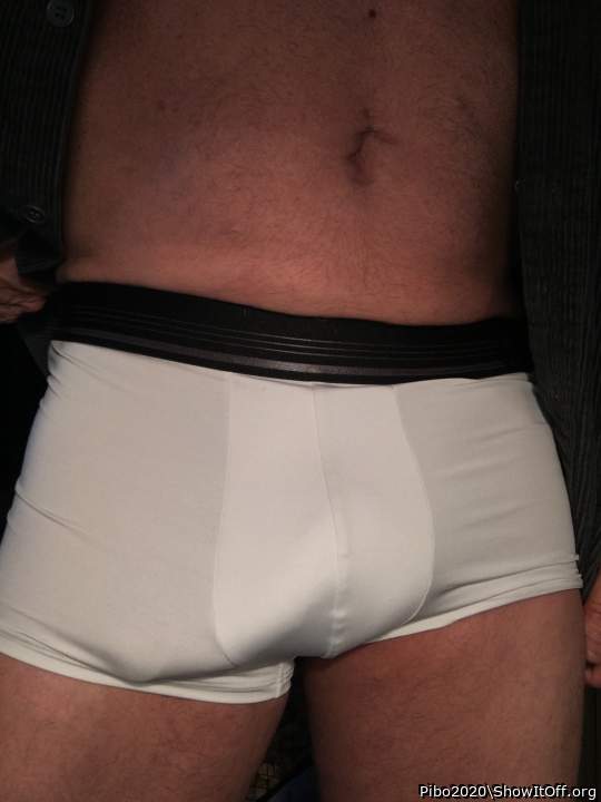 Adult image from Pibo2020