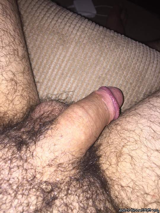Adult image from Ebih2