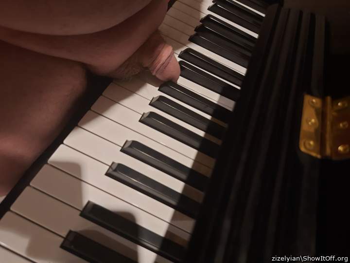 gay cock pianists