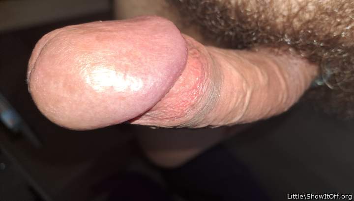 Adult image from Little