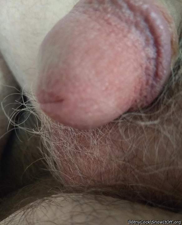 Up Close and Personal