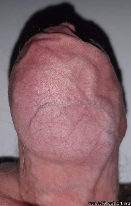 Adult image from Horatio