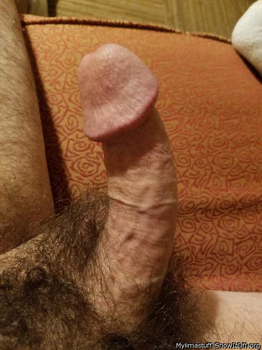 Adult image from Mylimastuff