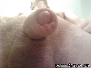 Adult image from palsss