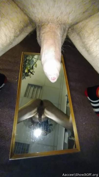 Adult image from Aaccee