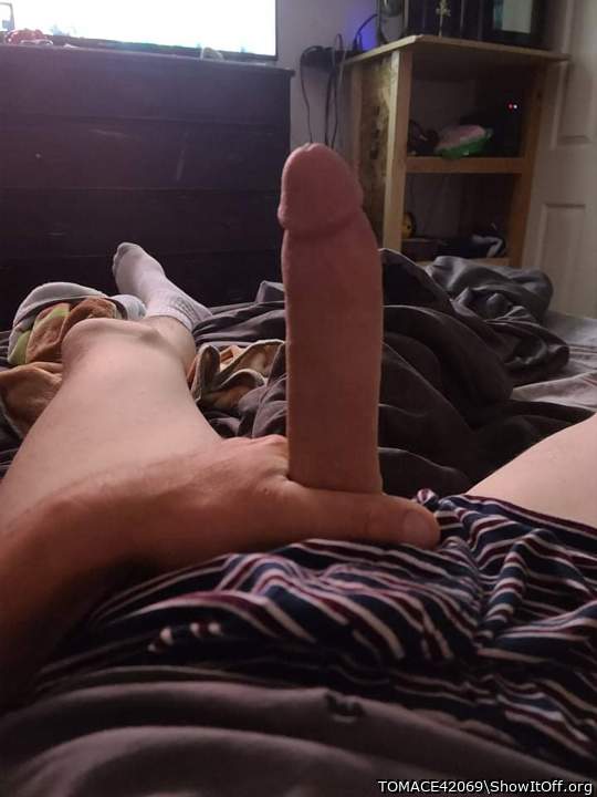 Adult image from TOMACE42069