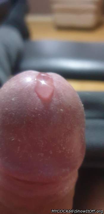 Adult image from MYCOCK66