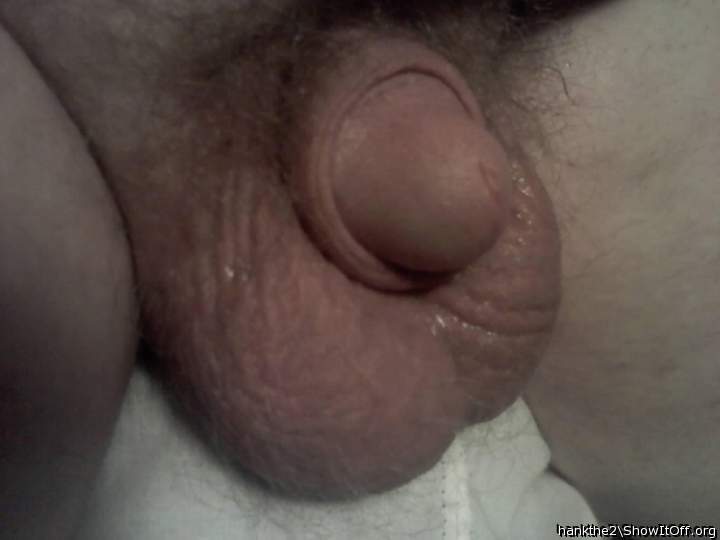 Adult image from hankthe2