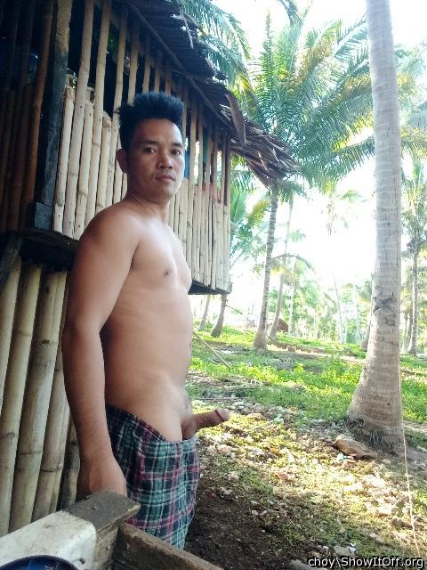 Adult image from choy
