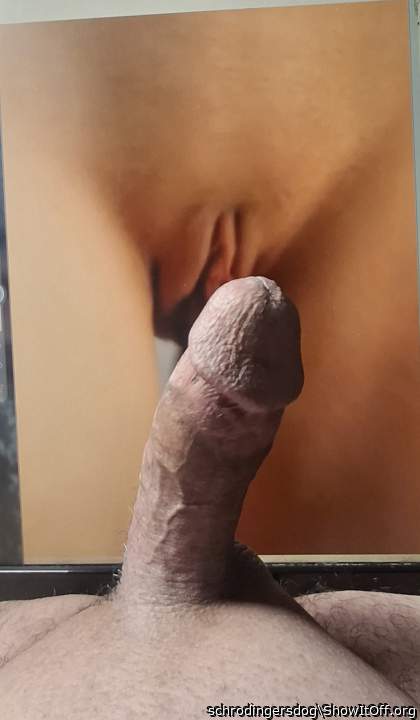 nudging pussy