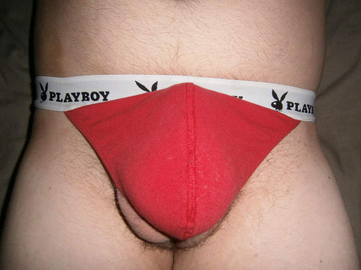Adult image from 450