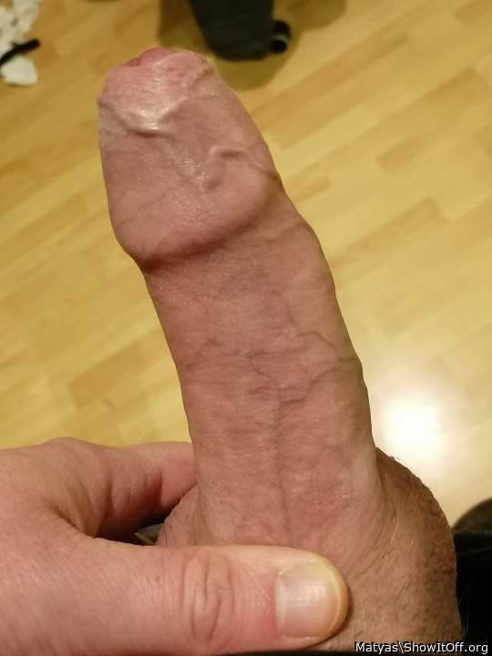 Adult image from Matyas