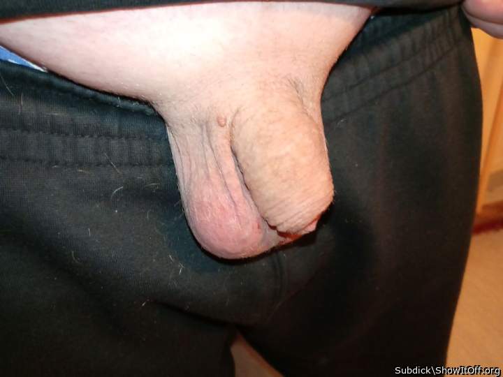 Adult image from Subdick