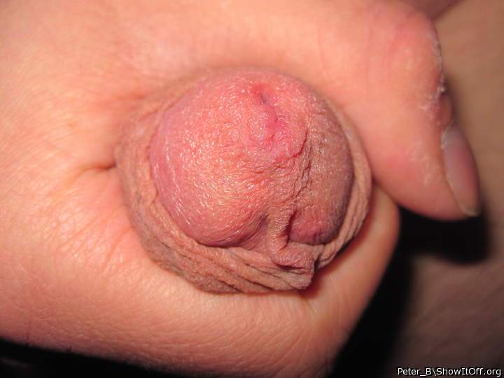 Adult image from peter_b