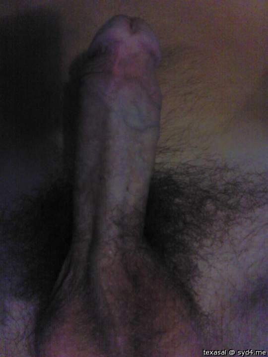 Adult image from texasal