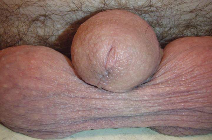 Adult image from lilsoftee