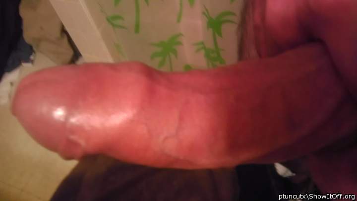 Adult image from ptuncutx