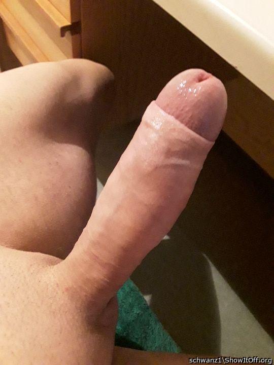 Adult image from schwanz1