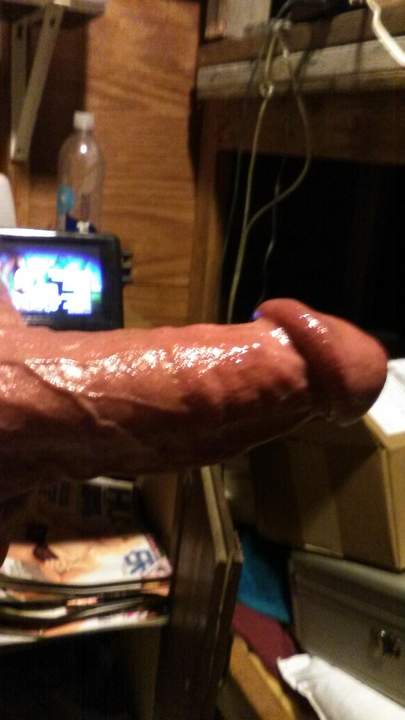 Adult image from fish4free
