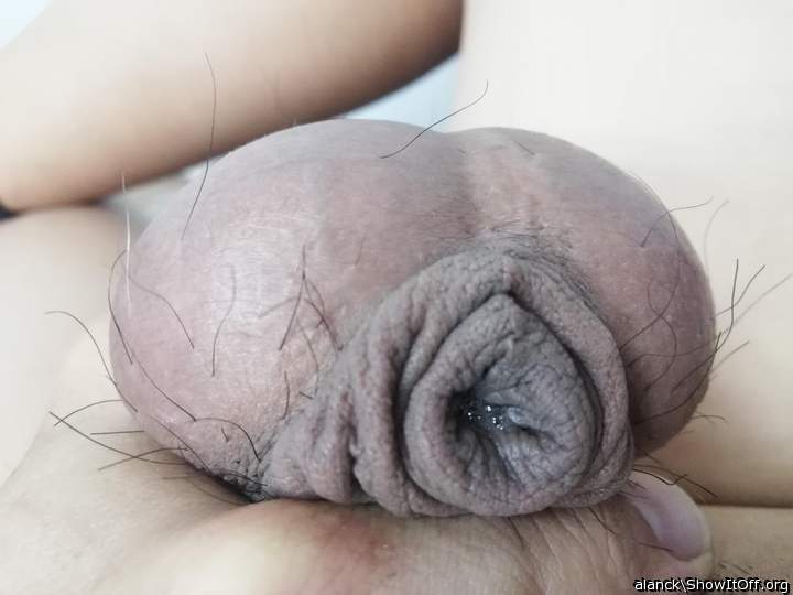 Adult image from alanck