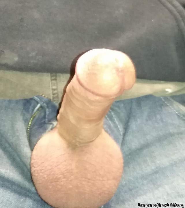 Adult image from Denpenn