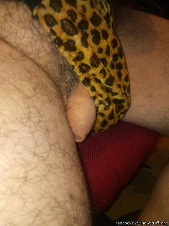 Adult image from redcock62