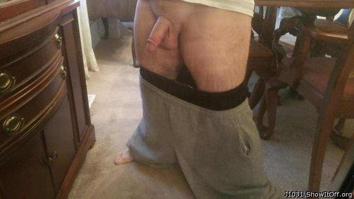 Adult image from J1031