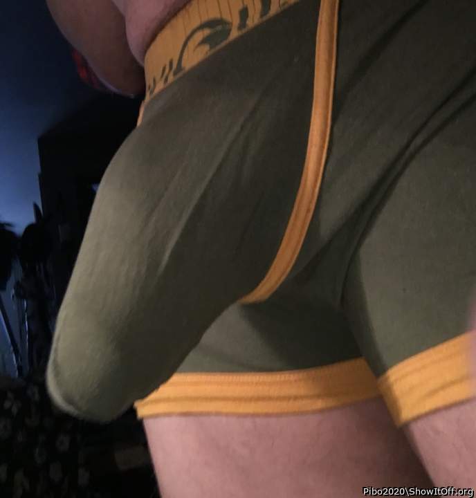 Adult image from Pibo2020