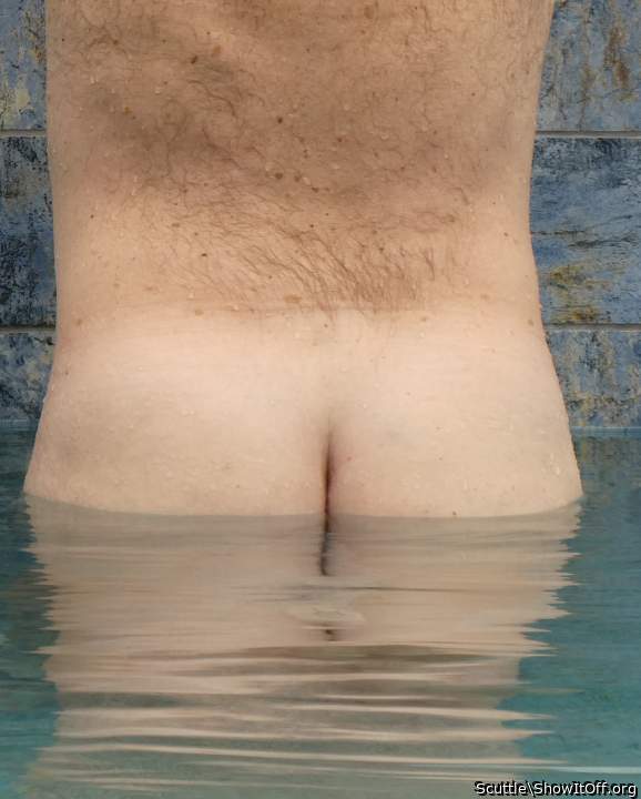 Adult image from Scuttle