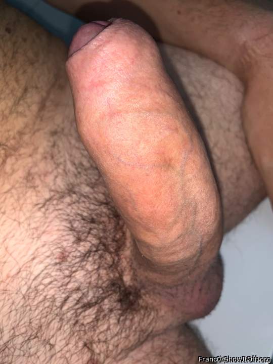 Adult image from Franc0