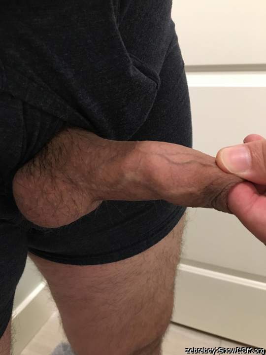 Adult image from zebraboy