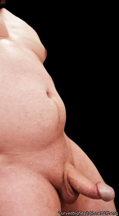 Adult image from Curvedbighead