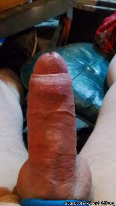 Adult image from Spunboofer