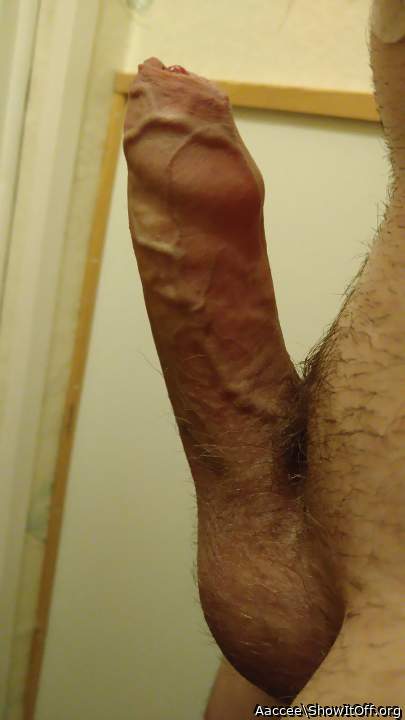 Foreskins veinly like urs make me a long crave inside my thr