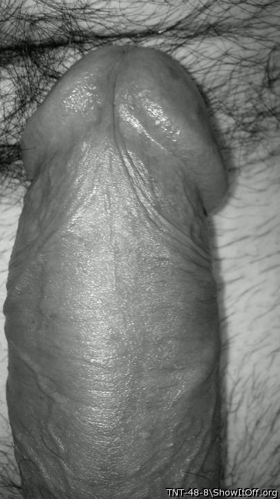 Adult image from TNT-48-8
