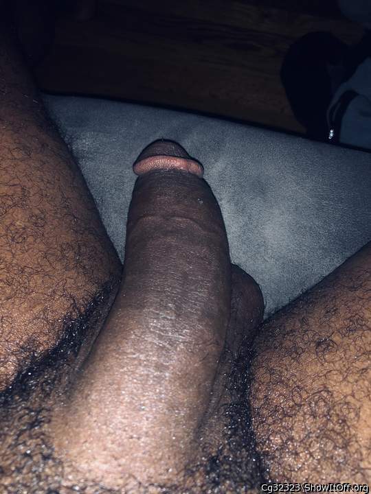 Adult image from Cg32323