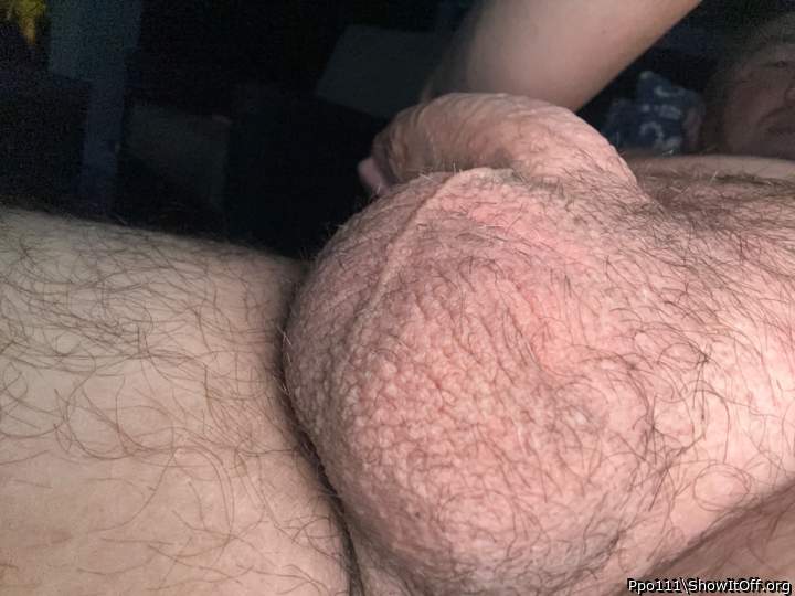 Adult image from Ppo111
