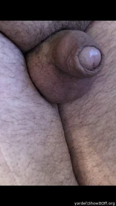 Adult image from yardel
