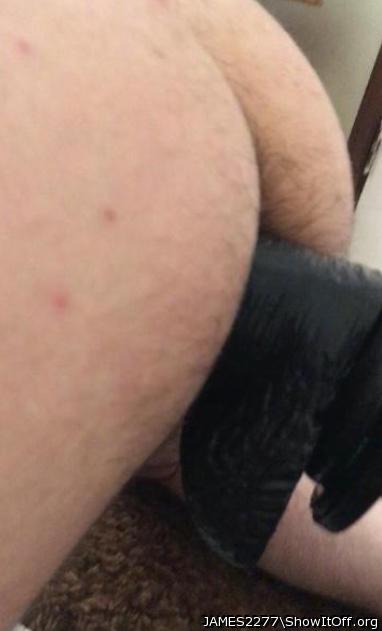 Adult image from JAMES2277