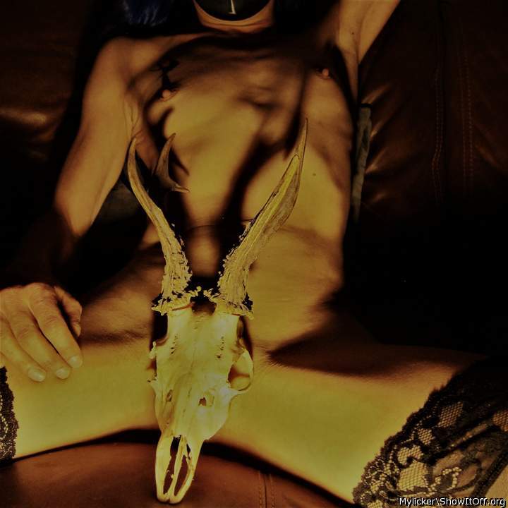 Adult image from Mylicker