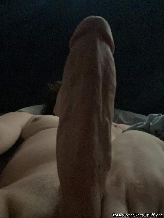 Adult image from steelwood