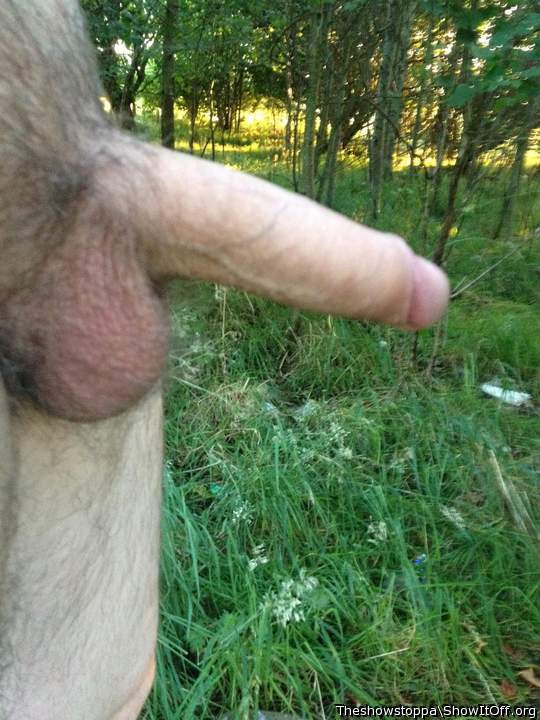 Adult image from Theshowstoppa