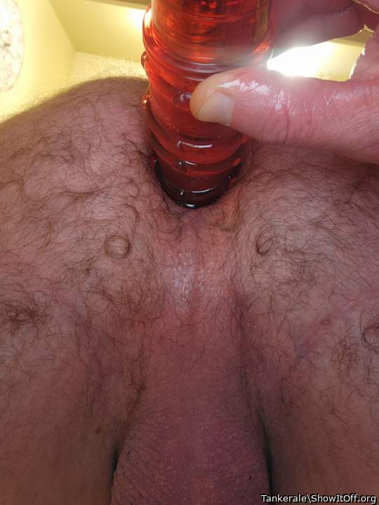 Adult image from Tankerale