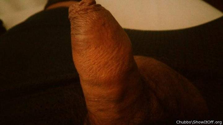 Adult image from Chubbs